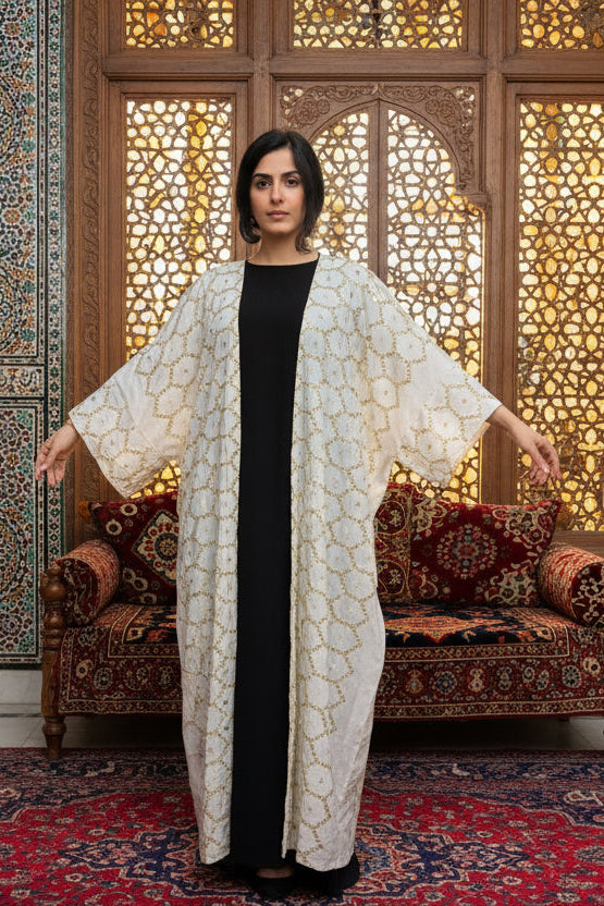 Elegant Reflective Embroidered Besht - LC 017
