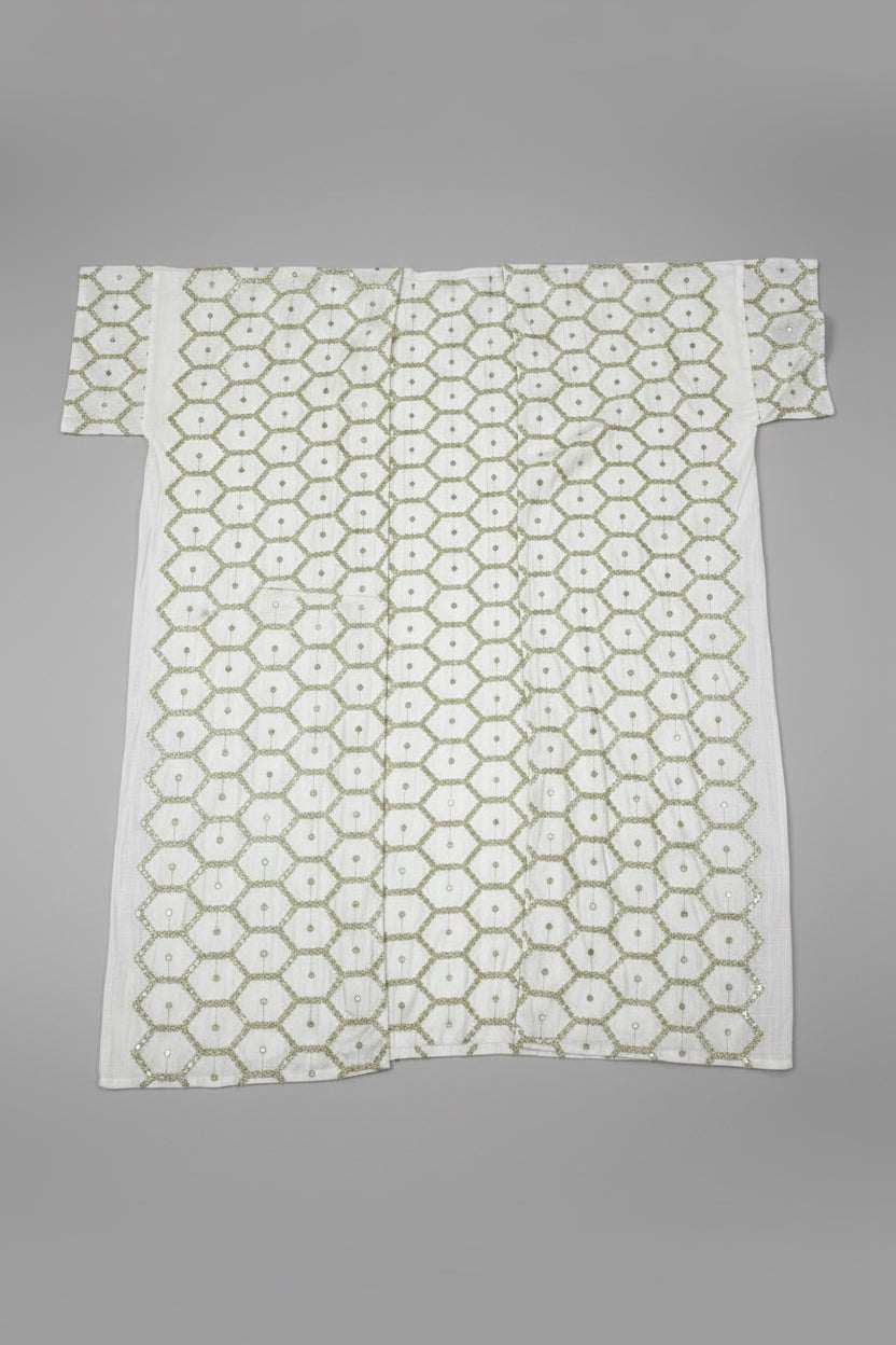 Elegant Reflective Embroidered Besht - LC 017